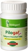 HILDEGARD POSCH Pilogal Plus comprimés fenouille galgant, 270 pièces