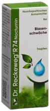 RECKEWEG R74 Nocturnin Tropfen Fl 50 ml