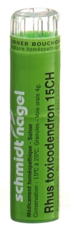 SN rhus toxicodendron gran 15 CH 4 g