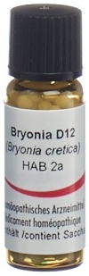 OMIDA bryonia glob 12 D 2 g