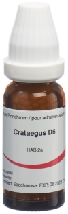 OMIDA Crataegus Glob D 6 14 g