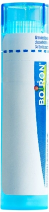 BOIRON Bryonia Gran CH 9, 4 g