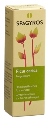 SPAGYROS GEMMO Ficus carica Glyzerol Mazerat D1, 30 ml