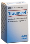 TRAUMEEL Tabletten, 250 Stück