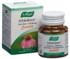 VOGEL Echinaforce Resistenz Erkältung Tabletten Junior, 120 Stück