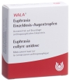 WALA Euphrasia Gtt Opht 15 Monodos 0.5 ml