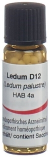 OMIDA ledum glob 12 D 2 g