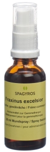 SPAGYROS GEMMO Fraxinus excelsior macérat de glycérine D1, 30 ml