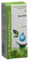 RECKEWEG R4 Enterocolin Tropfen Fl 50 ml
