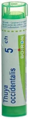 BOIRON Thuya occidentalis Gran CH 5 4 g