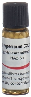 OMIDA Hypericum Glob C 200 2 g