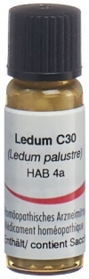 OMIDA Ledum Glob C 30 2 g