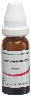 OMIDA Bellis perennis Glob C 30 14 g