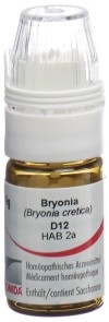OMIDA bryonia glob 12 D doseur 4 g