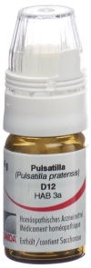 OMIDA Pulsatilla Glob D 12 m Dosierhilfe 4 g