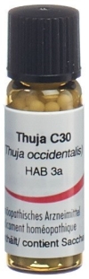 OMIDA thuja glob 30 C 2 g