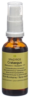 SPAGYROS GEMMO Crataegus laevi Glycerinmazerat D1, 30 ml