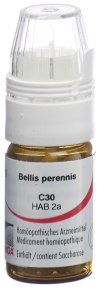 OMIDA Bellis perennis Glob C 30 m Dosierhilfe 4 g