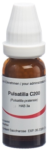 OMIDA Pulsatilla Glob C 200 14 g