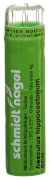 SN aesculus hippocastanum gran 5 CH 4 g