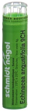 SN Echinacea angustifolia Gran CH 9 4 g