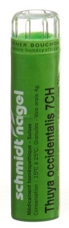 SN thuya occidentalis gran 7 CH 4 g