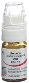 OMIDA Berberis Glob C 30 mit Dosierhilfe 4 g