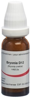 OMIDA bryonia glob 12 D 14 g