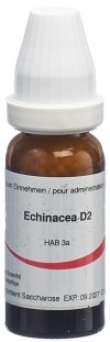 OMIDA echinacea angustifolia glob 2 D 14 g