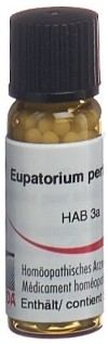 OMIDA Eupatorium perfoliatum Glob C 30 2 g
