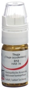 OMIDA thuja glob 12 D a doseur 4 g
