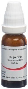 OMIDA thuja glob 30 D 14 g