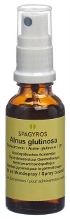SPAGYROS GEMMO Alnus glutinosa macérat de glycérine D1, 30 ml
