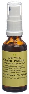 SPAGYROS GEMMO Corylus avellana Glycerinmazerat D1, 30 ml
