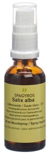 SPAGYROS GEMMO Salix alba Glycerinmazerat D1, 30 ml