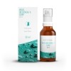 SPENGLER Virus influencae A comp Spray D13, 50 ml