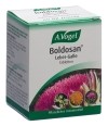 VOGEL Boldosan Leber Galle Tabletten, 60 Stück
