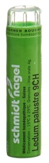 SN ledum palustre gran 9 CH 4 g