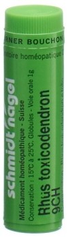 SN rhus toxicodendron glob 9 CH 1 g