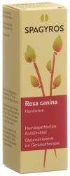 SPAGYROS GEMMO Rosa canina Glyzerol Mazerat D1, 30 ml