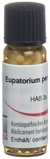OMIDA euphrasia glob 30 C 2 g