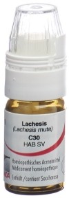 OMIDA Lachesis Glob C 30 m Dosierhilfe 4 g