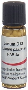 OMIDA Ledum Glob D 12 2 g
