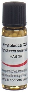 OMIDA Phytolacca Glob C 30 2 g