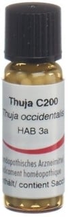 OMIDA thuja glob 200 C 14 g