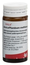 WALA Arnica/Plumbum mellitum Globuli, 20 g