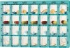 DOSETT Midi cassette dosage F