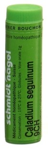 SN caladium seguinum glob 9 CH 1 g
