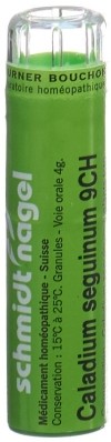 SN Caladium seguinum Gran CH 9 4 g