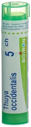 BOIRON Thuya occidentalis Gran CH 5 4 g